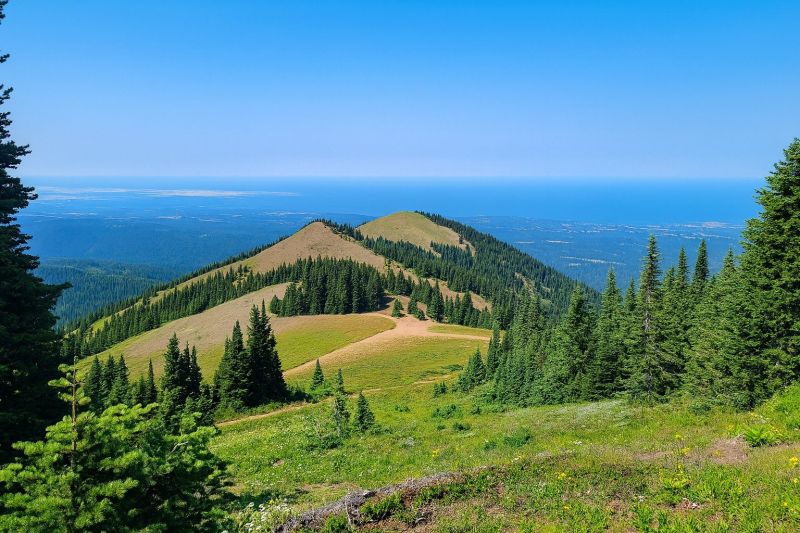 Best Bathroom Remodeling pros in Forest Hill, MD